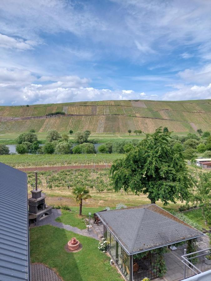 Weingut Licht-Stadtfeld Brauneberg Exteriér fotografie